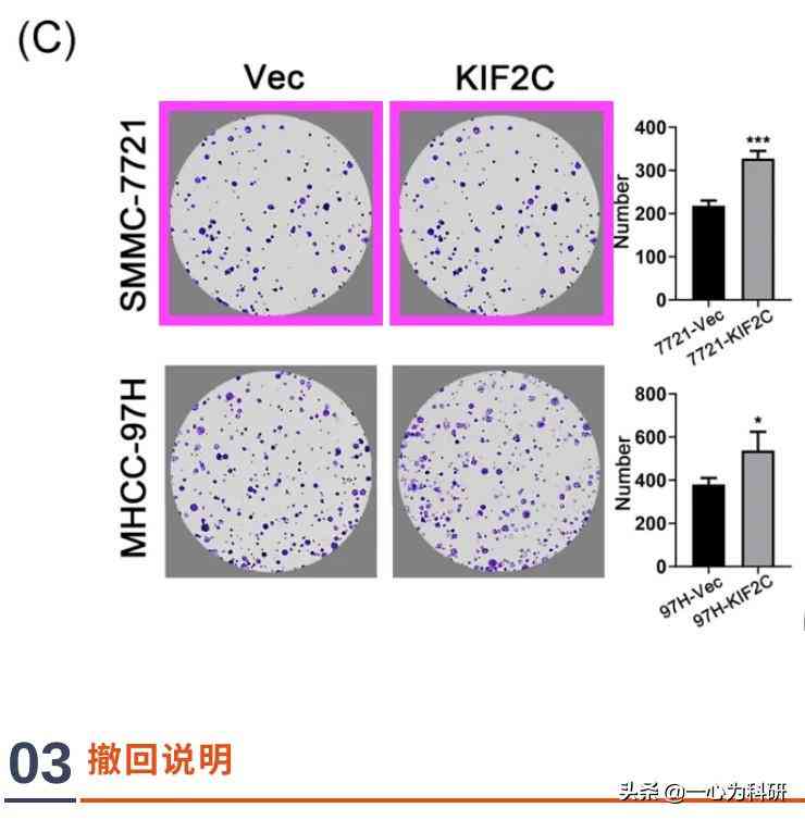 ai写作助手怎么打开编辑模式及使用方法，设置SCI写作与个性化配置