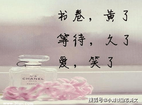 形容爱文案：经典表达爱意的句子与短句汇编