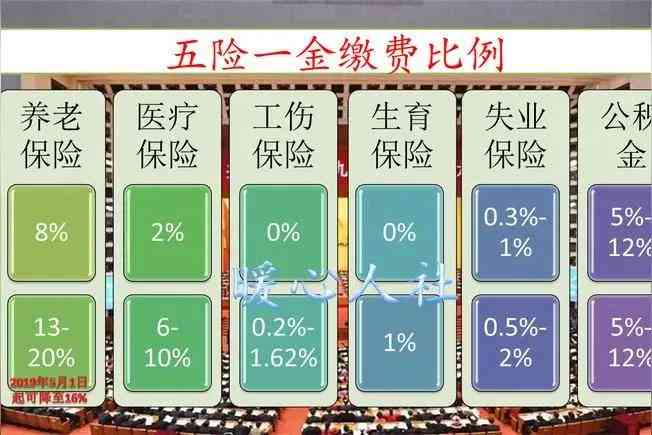 申请认定工伤的费用数额怎么填，费用由谁承担及工伤认定费用标准详解