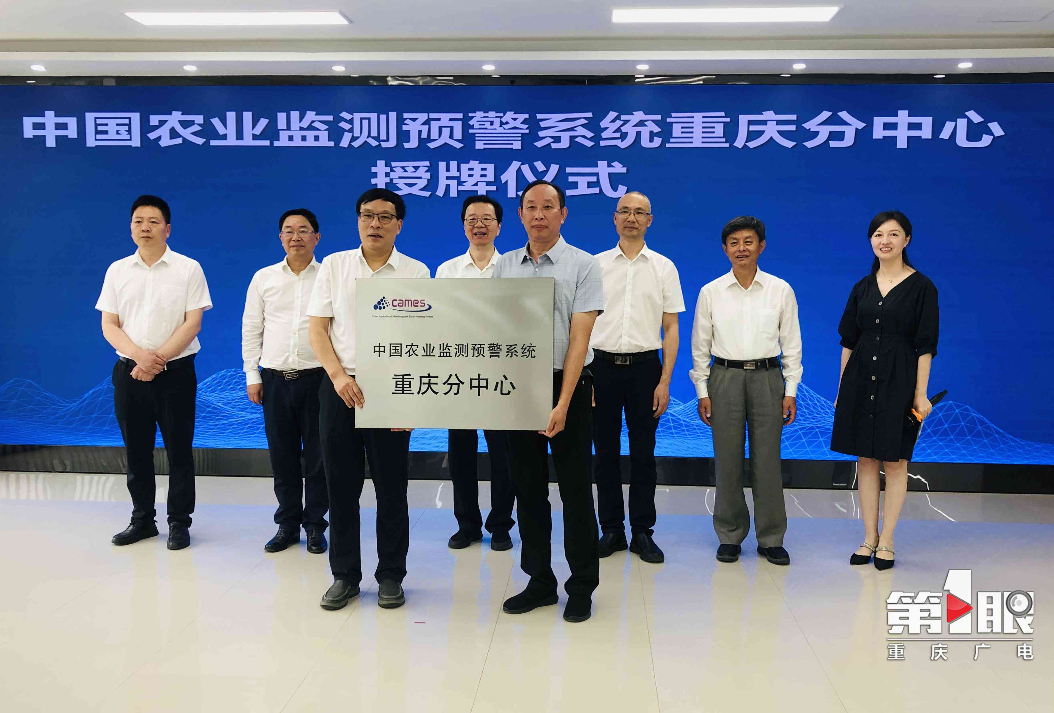 '智能安全监测与预警系统'
