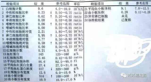 患者如何准确解读医院检验报告单及常见问题解析