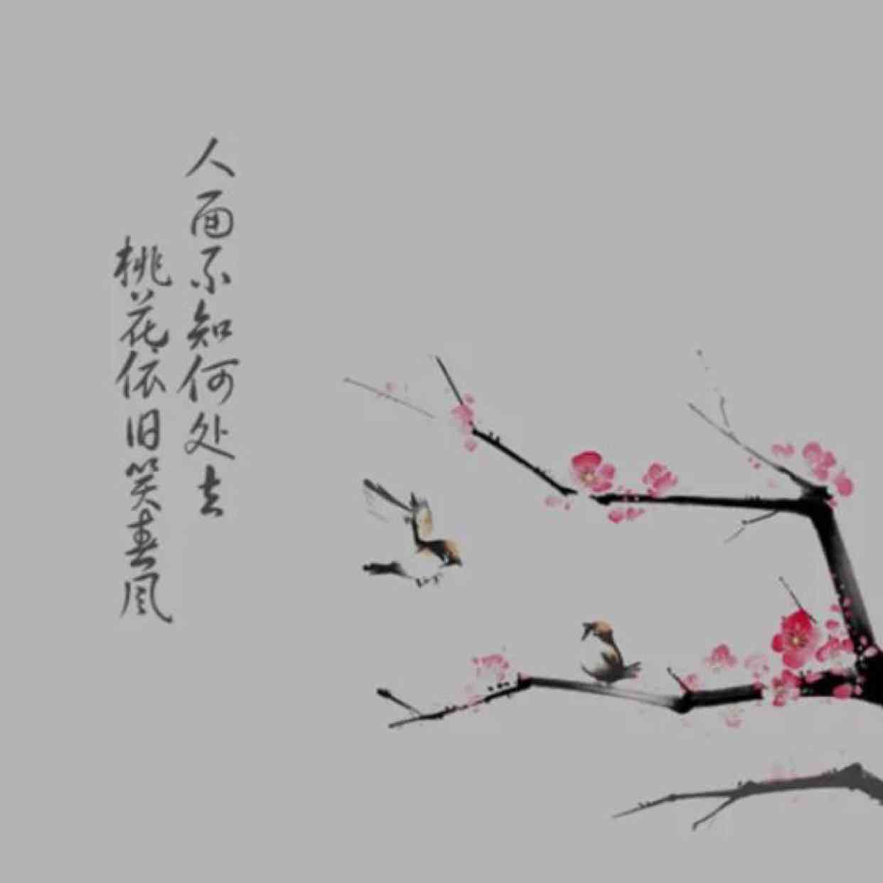 精选古风照片搭配文案大全：古韵诗意文字创作指南与示例     
