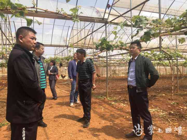 疗休养期间意外受伤能否认定为工伤待遇