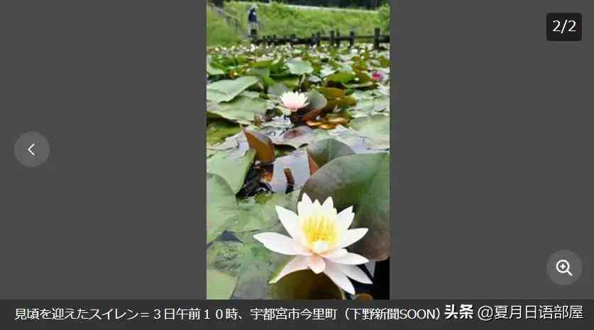 日语文案怎么写：好看表达、短句治愈之道