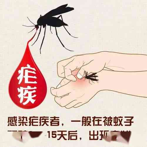 疟疾不治会死人吗：为何不治疗可能致命及其后果