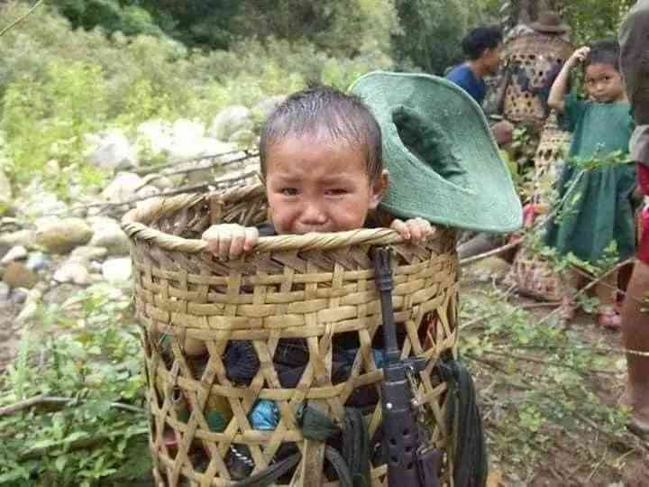 疟疾可以救治吗：为何及如何被治愈详解