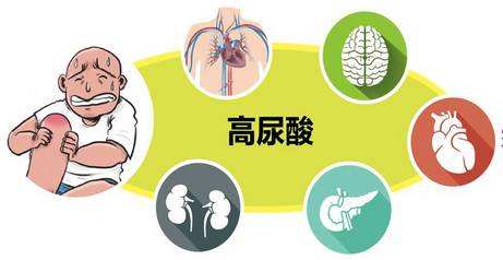 疟疾危害解析：症状、预防与治疗全方位指南
