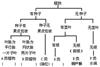 疟疾是否被归类为重大传染病：探讨其在公共生中的重要性