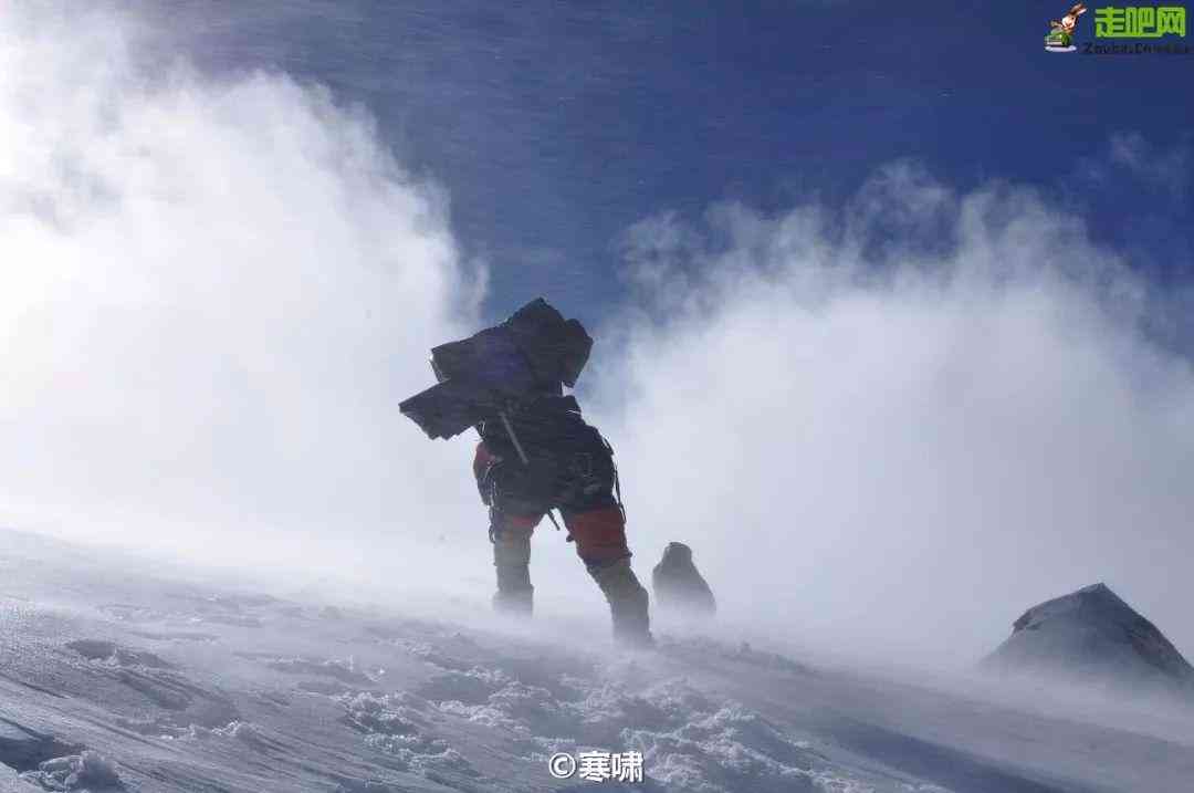 疲劳驾驶引发交通事故导致伤残的法律责任与刑罚解析