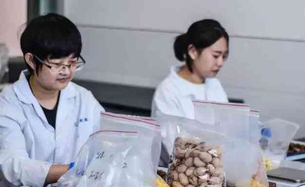 疾病能否被认定为工伤：详解政策与条件