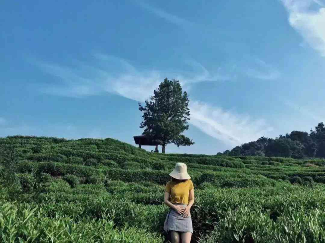 小红书人工智能：语言训练系统评测、招聘信息及薪资最新动态