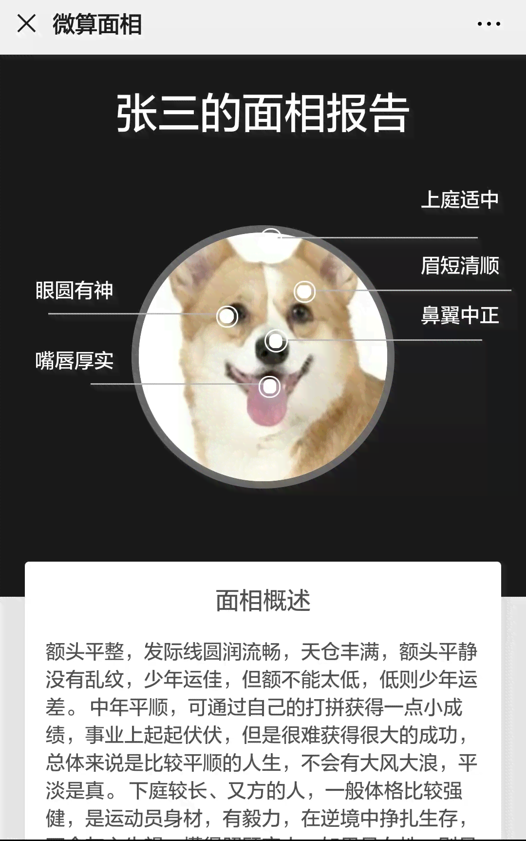 ai测面相怎么删除报告