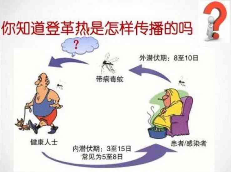 探讨登革热感染是否可认定为职业性疾病——工伤范畴的评估与解读
