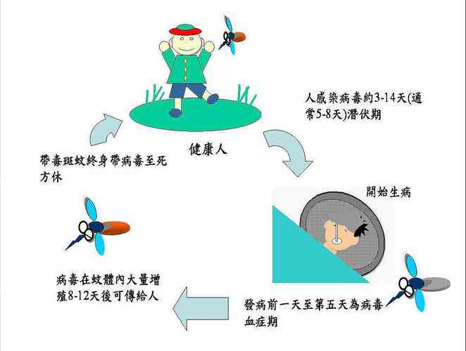 探讨登革热感染是否可认定为职业性疾病——工伤范畴的评估与解读