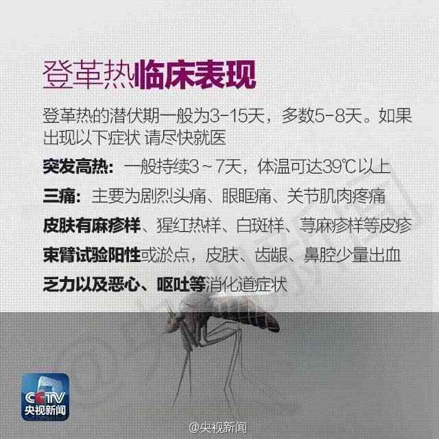 登革热算工伤吗：几率、分类、上报时间、生命危险及救治情况详解