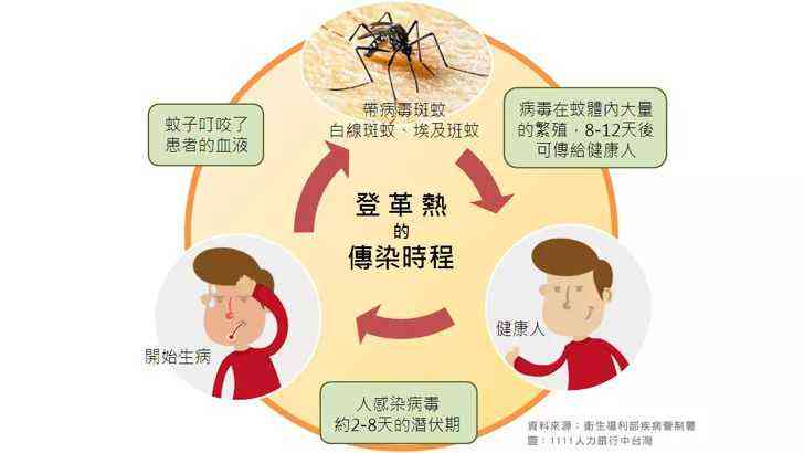 登革热的治愈可能性、治疗周期及预防措详解