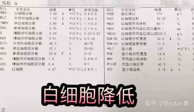 白细胞计数偏低，入职体检是否会受限——探讨健指标对职场影响