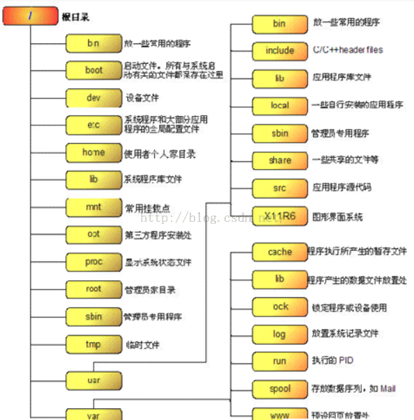 ai脚本放在哪个目录：详细解析脚本存放位置与目录选择