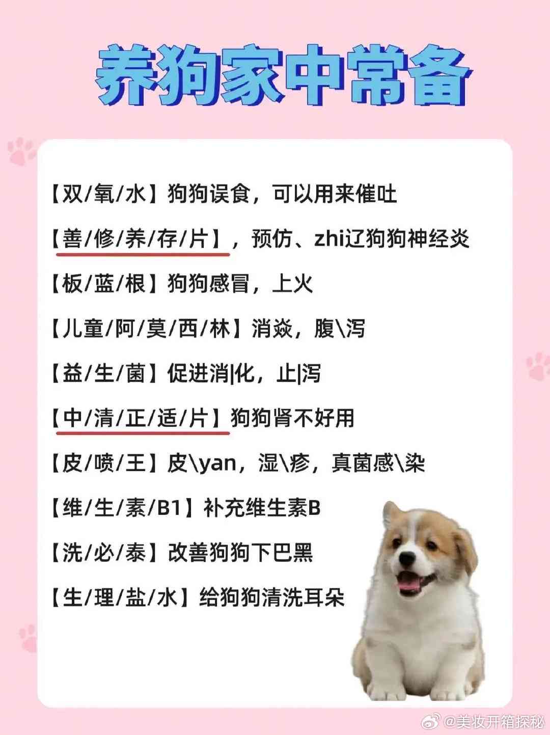 小狗成长记：作文系列第1集，全面记录幼犬生活点滴与训练心得