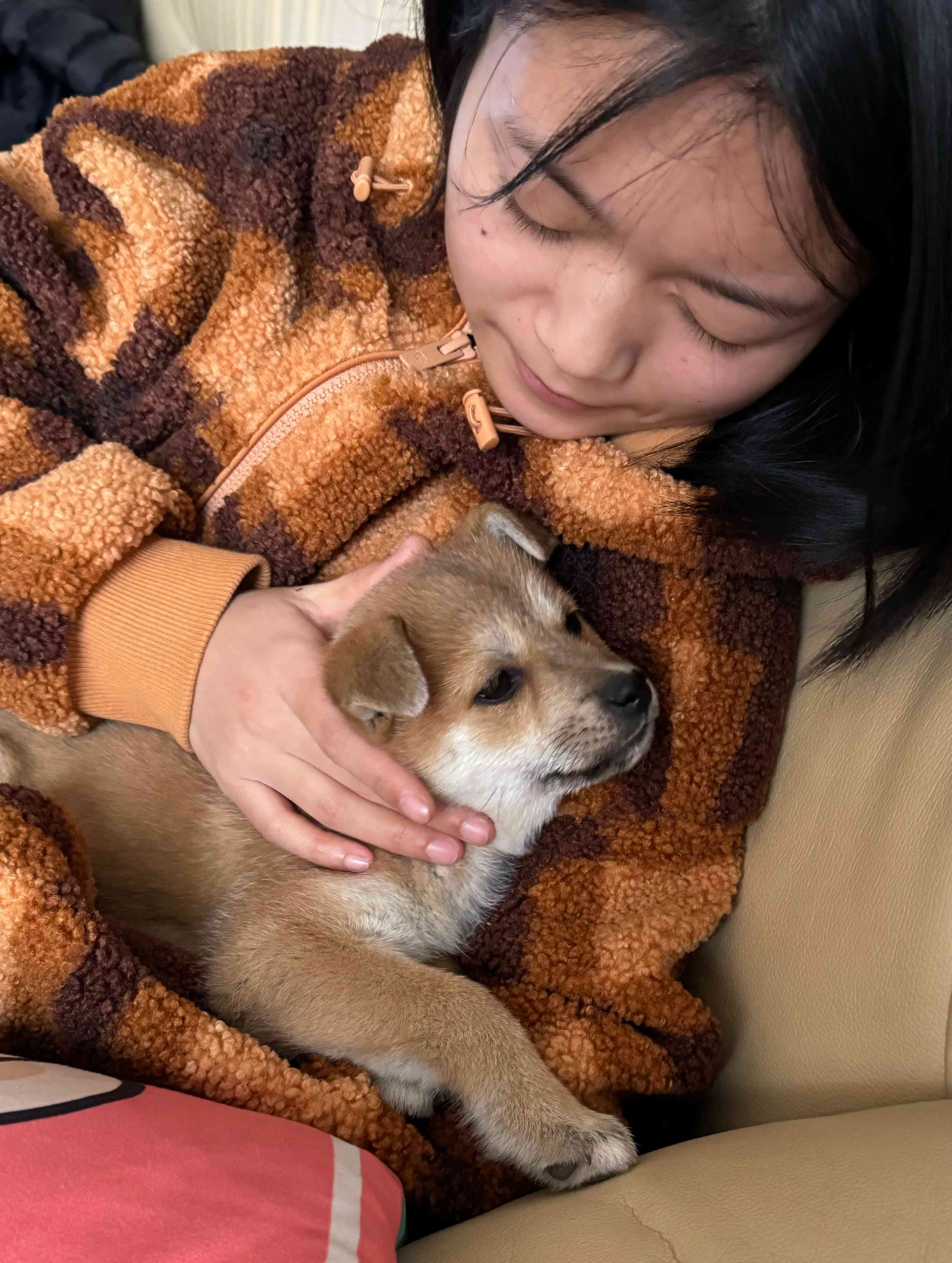 小狗成长记：作文系列第1集，全面记录幼犬生活点滴与训练心得