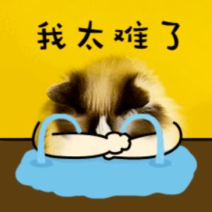ai爆款文案软件哪个好用：比较不同版本优劣与特点