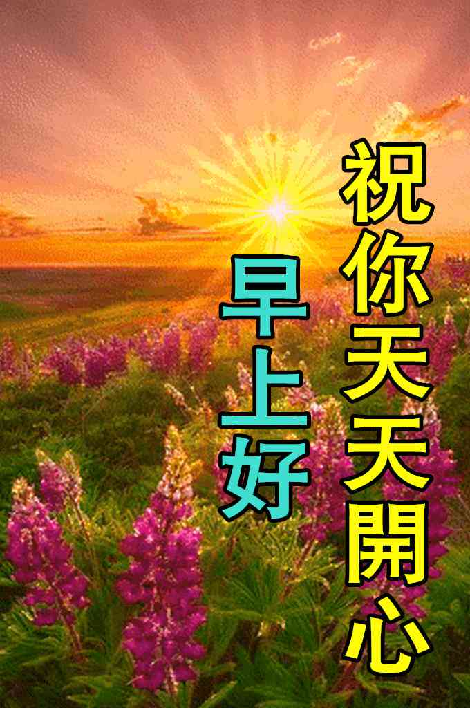 全方位评测：2023年AI爆款文案软件盘点，助您轻松写出高转化内容
