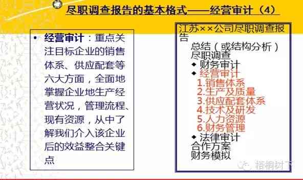 深入解析直接认定的含义与适用情境