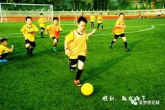 小爱智能机器人如何参与足球运动：技能、应用与未来发展探讨