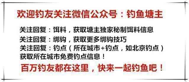 臣氏面试全攻略：常见问题、技巧解析与实战演练