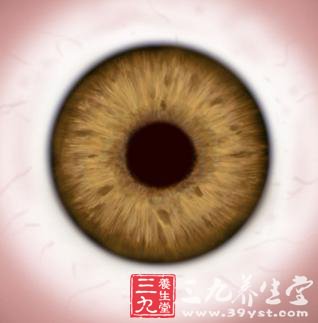 结合医学法医学视角：虹膜损伤与视力下降的眼部轻伤鉴定细则