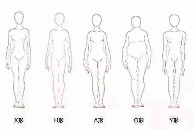 身材评估表：标准对照与测量值对比身材指标总览