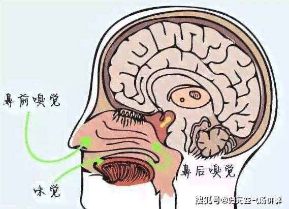 睡眠障碍算不算精神病：它是精神病、患者、病症吗，属于精神类疾病吗？