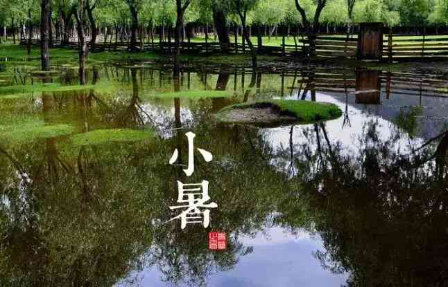探寻对星星愿经典歌词背后的秘密