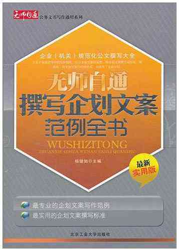 项目文案案例范文：撰写策划大全与模板教程