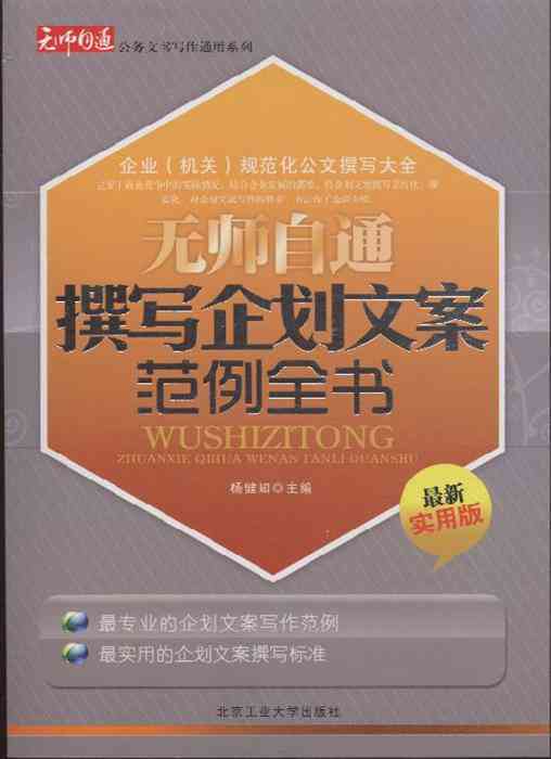 项目文案案例范文：撰写策划大全与模板教程