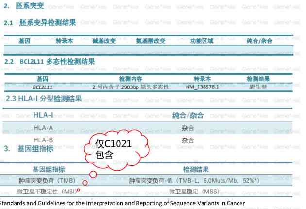 AI质检报告怎么写出来：解析质检报告AL的含义与撰写方法