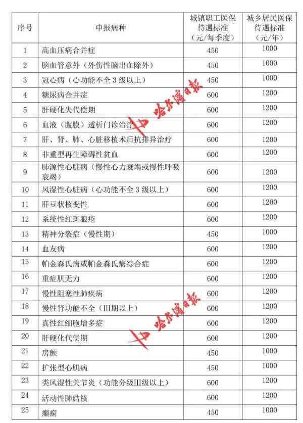 离休人员认定标准与程序解析