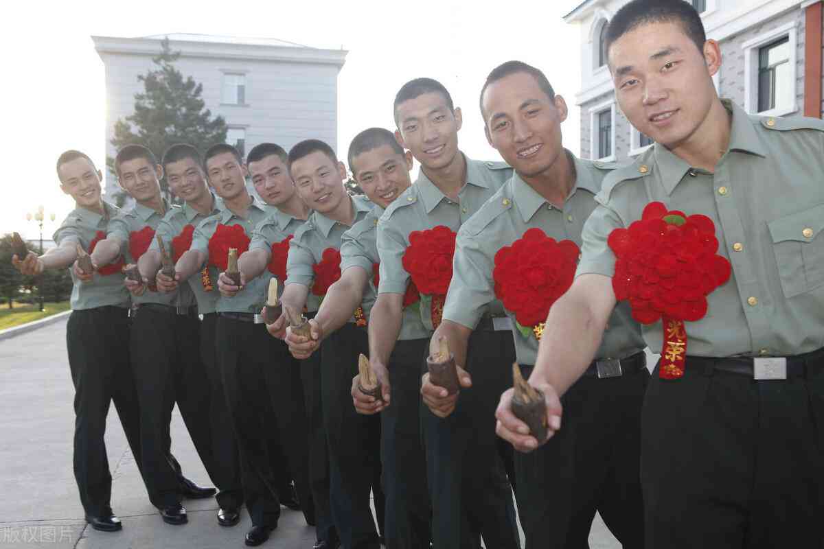 离休人员认定标准与程序解析