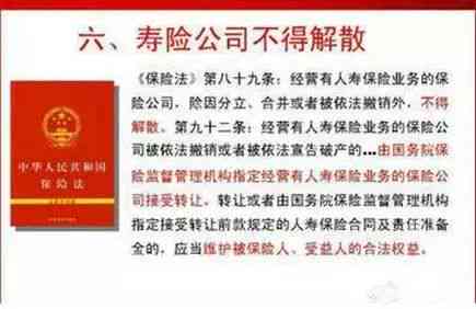 私人工地意外伤害责任归属与索赔指南：谁负责、如何     