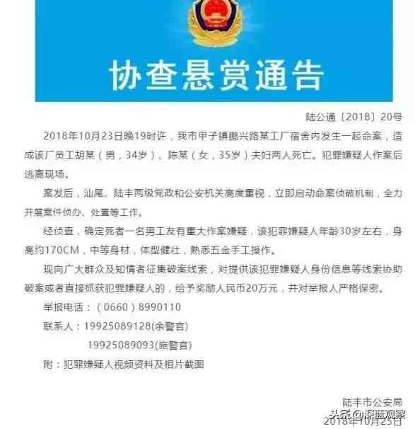私人工地意外伤害责任归属与处理指南：雇主、工方及相关部门责任解析