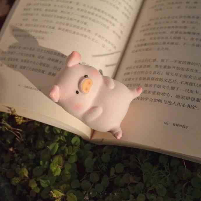 好看的爱情文案：精选短句与长篇句子汇编