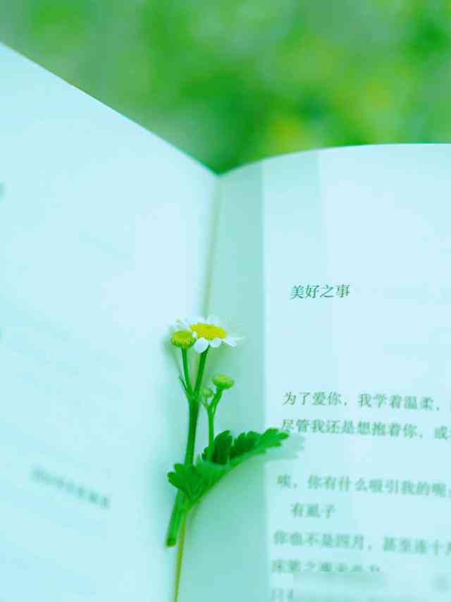 精选流行文案句子：打造独特个性签名与魅力表达