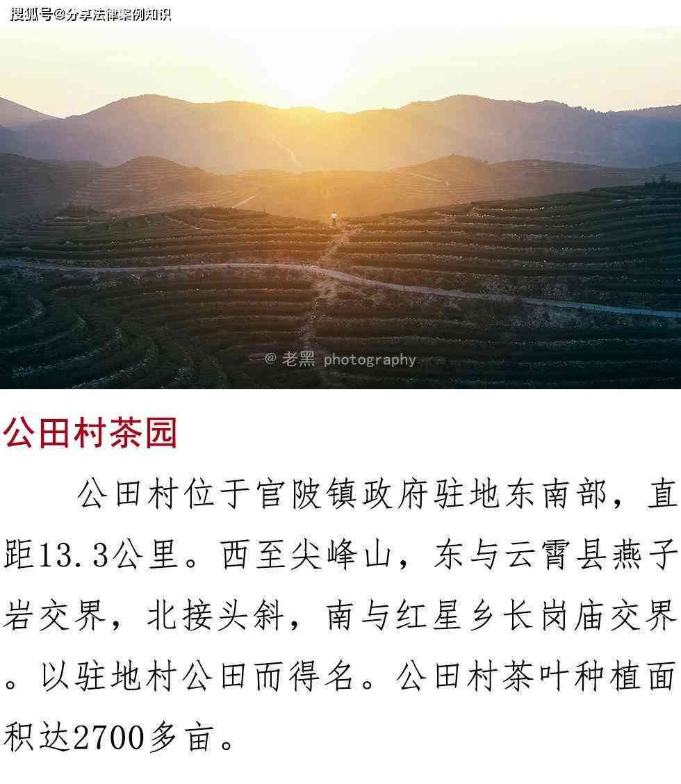 掌握技巧与创意：成为才华横溢的原创家之路
