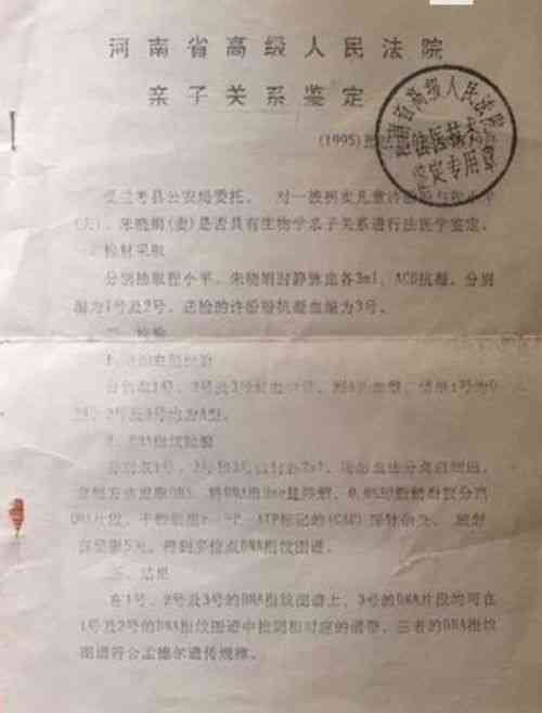如何依据税款因素进行工伤等级的认定与划分