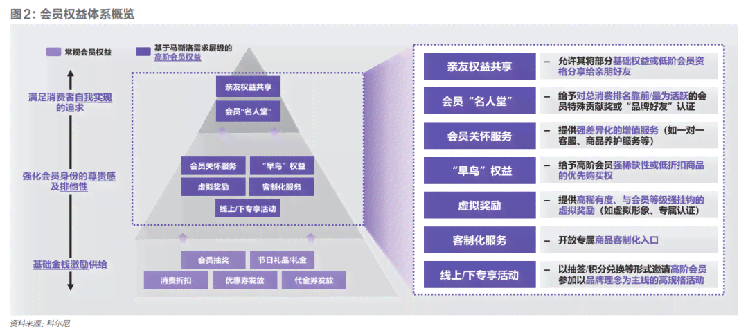 全方位个性化定制服务：打造专属文案解决方案，满足各类定制需求