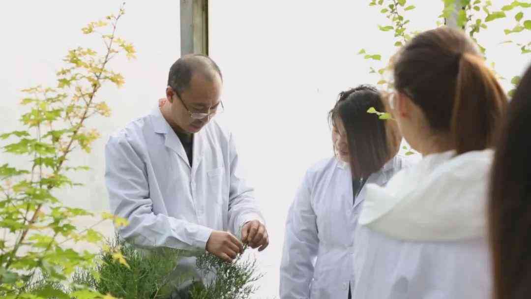 吉林省论文发表的网站名单及具体名称一览