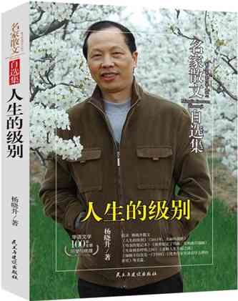 揭秘知名作家星野个人背景及创作生涯