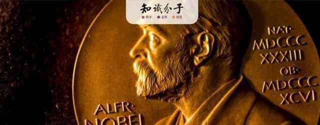 AI技术在多领域提升工作效率与生产力的综合研究报告