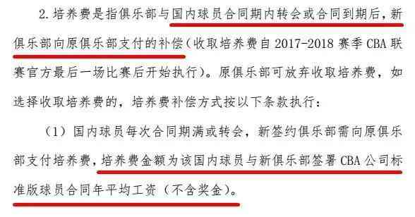 篮球受伤赔偿标准：最新赔偿金额与责任归属详解