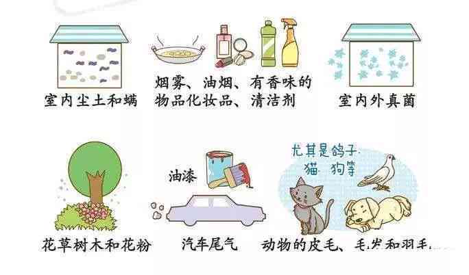 粉尘过敏典型症状与表现解析